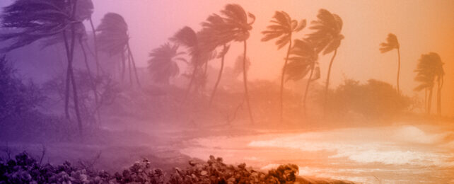 Hurricane Beryl a Stark Warning of Things to Come as Our Planet Heats Up