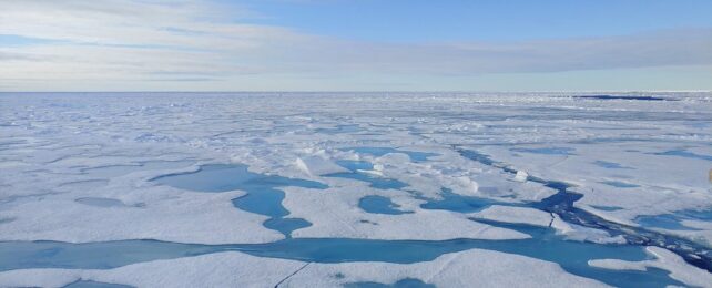 Sea ice